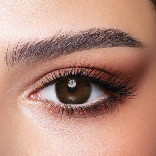 CEDAR - Xena Optic - Medical and CosmeticLens Bio compatible elements making the lens soft & comfortable throughout the day High Water retention that allow high oxygen permeability Ideal for eye dryness High Definition design & UV blocker USA materials FDA & CE approved - Contact Lenses BELLA