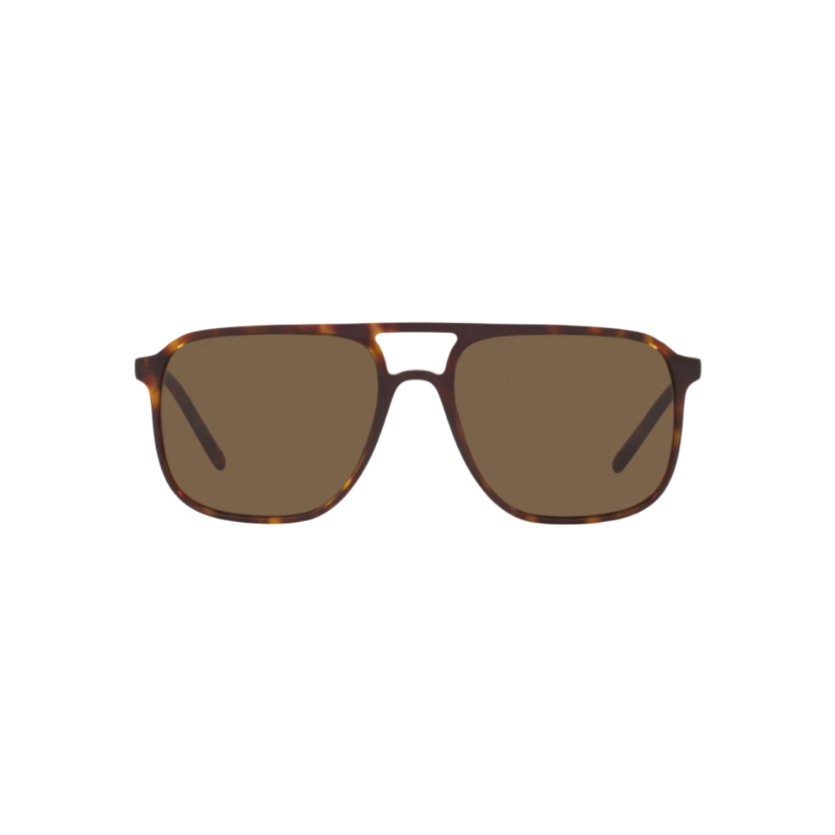 DOLCE AND GABBANA 4423 - Xena Optic - Frame shape: Pilot Lens color: Dark brown Frame color: Havana Tortoise Lens material: Polyamide Temples material: Acetate Front material: Acetate - Sunglasses DOLCE AND GABBANA