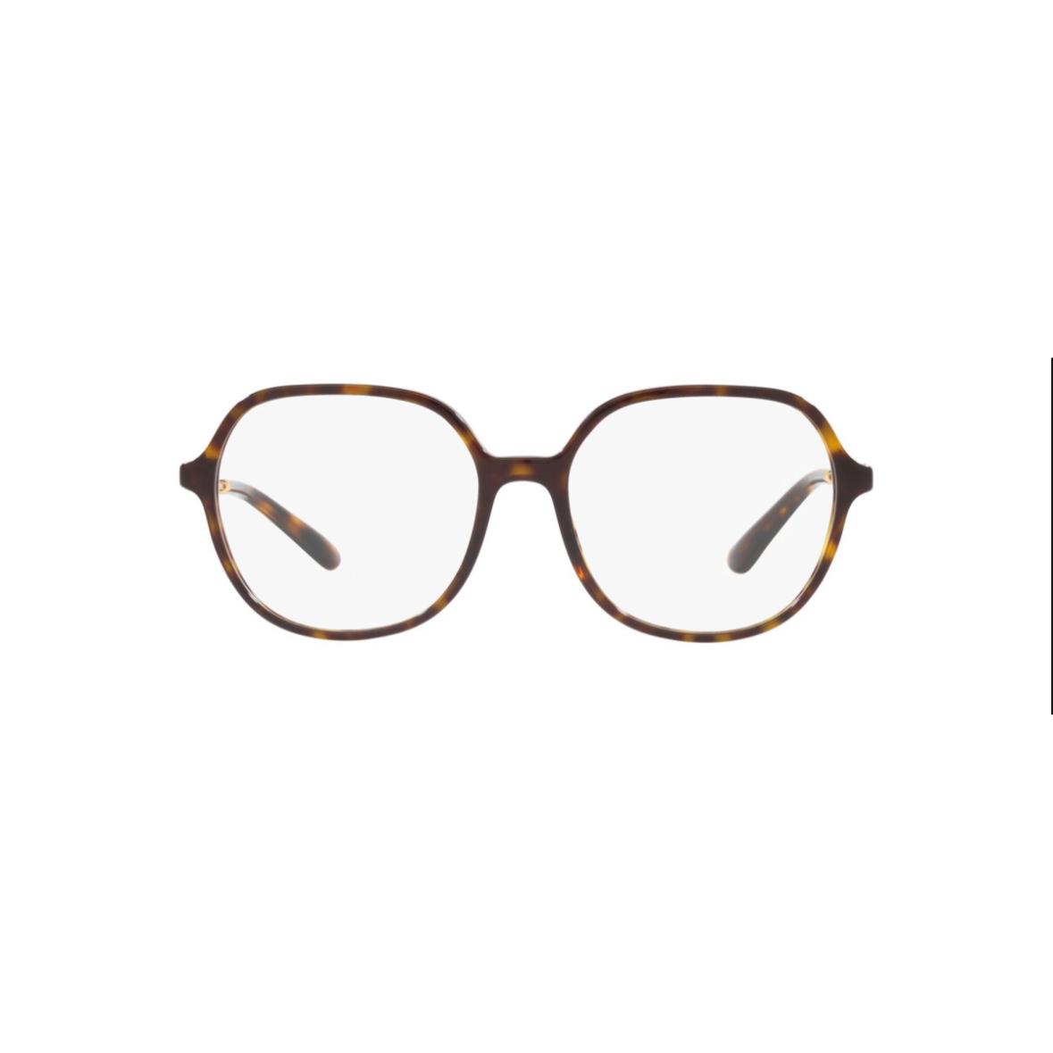 DOLCE AND GABBANA 3364 - Xena Optic - Frame Shape: Round Frame color: Tortoise Temple color: Gold - Eyeglasses DOLCE AND GABBANA 