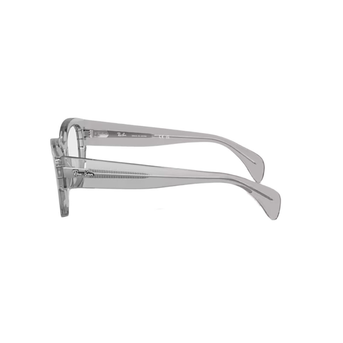 RAY BAN 7681
